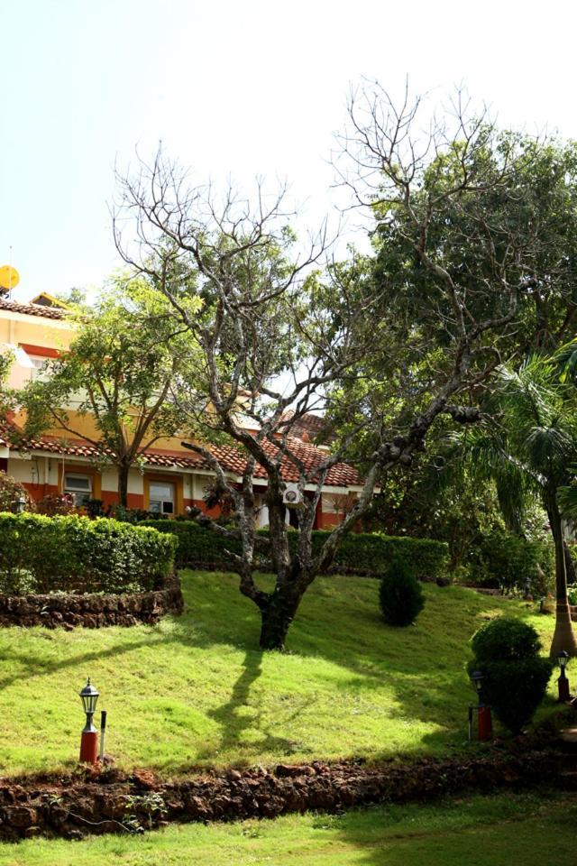 Nirvana Hermitage Anjuna Extérieur photo