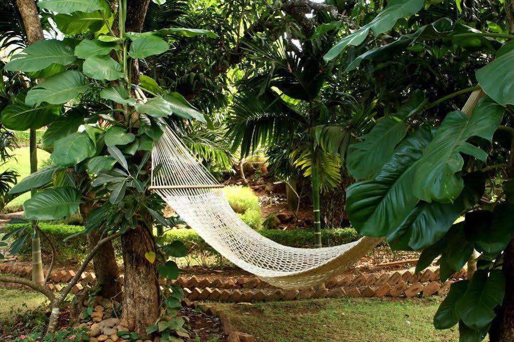 Nirvana Hermitage Anjuna Extérieur photo